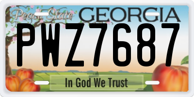 GA license plate PWZ7687