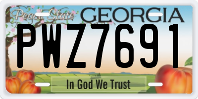 GA license plate PWZ7691
