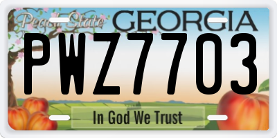 GA license plate PWZ7703