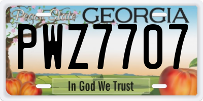 GA license plate PWZ7707