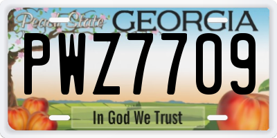 GA license plate PWZ7709