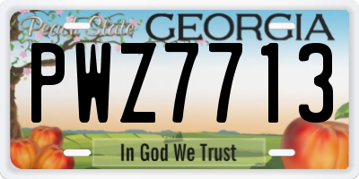GA license plate PWZ7713