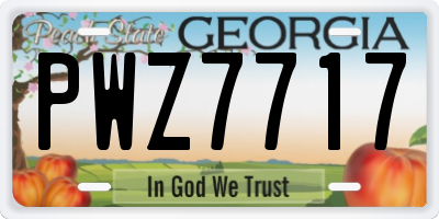 GA license plate PWZ7717