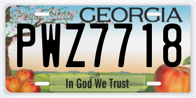 GA license plate PWZ7718
