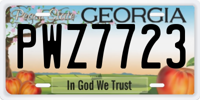 GA license plate PWZ7723