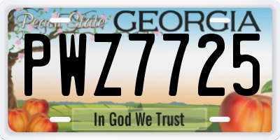 GA license plate PWZ7725