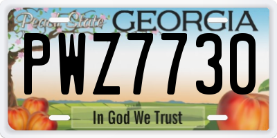 GA license plate PWZ7730