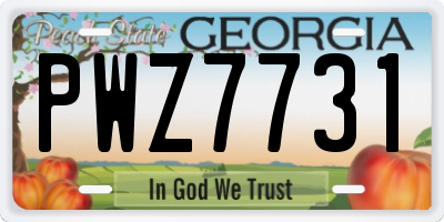 GA license plate PWZ7731