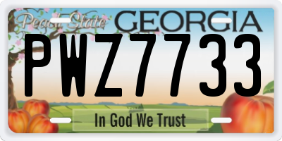 GA license plate PWZ7733