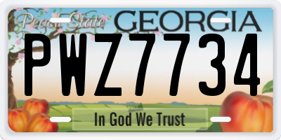 GA license plate PWZ7734