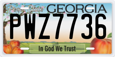 GA license plate PWZ7736