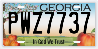 GA license plate PWZ7737
