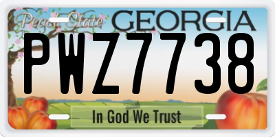 GA license plate PWZ7738