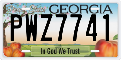 GA license plate PWZ7741