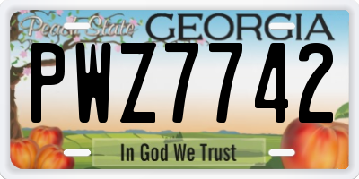 GA license plate PWZ7742