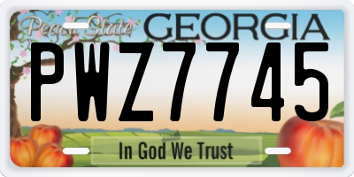 GA license plate PWZ7745