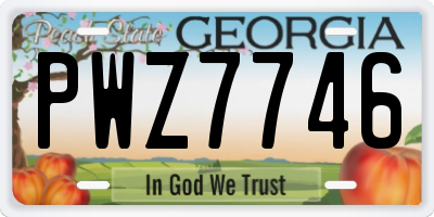 GA license plate PWZ7746