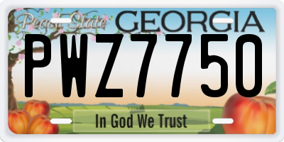 GA license plate PWZ7750