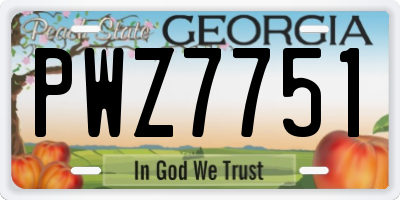 GA license plate PWZ7751