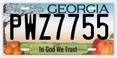 GA license plate PWZ7755
