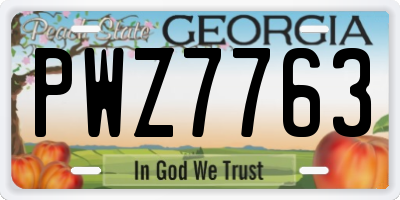 GA license plate PWZ7763