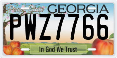GA license plate PWZ7766