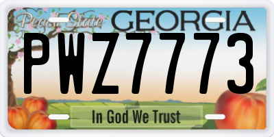 GA license plate PWZ7773