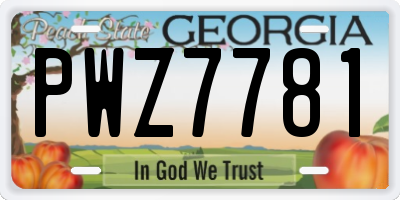 GA license plate PWZ7781