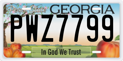 GA license plate PWZ7799