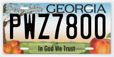GA license plate PWZ7800