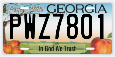 GA license plate PWZ7801