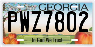 GA license plate PWZ7802