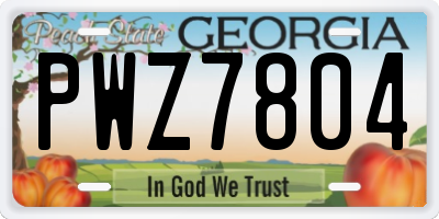 GA license plate PWZ7804