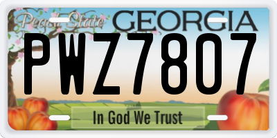 GA license plate PWZ7807