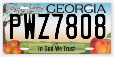 GA license plate PWZ7808