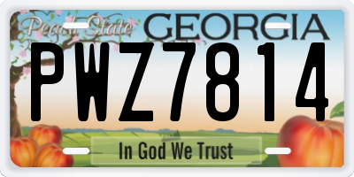 GA license plate PWZ7814