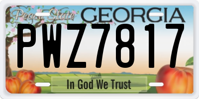 GA license plate PWZ7817
