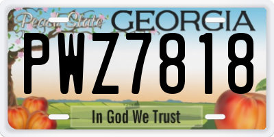 GA license plate PWZ7818