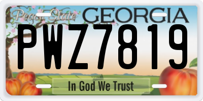 GA license plate PWZ7819
