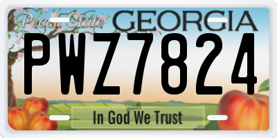 GA license plate PWZ7824