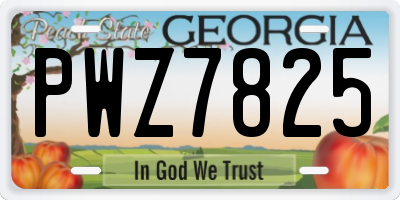 GA license plate PWZ7825