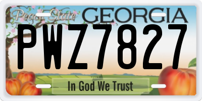GA license plate PWZ7827