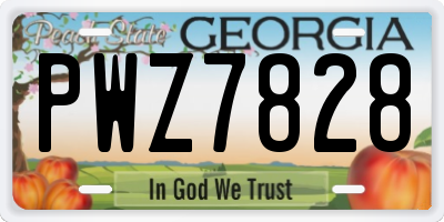 GA license plate PWZ7828