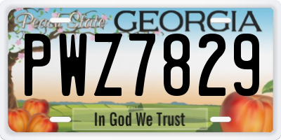 GA license plate PWZ7829