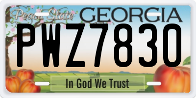 GA license plate PWZ7830