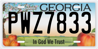 GA license plate PWZ7833