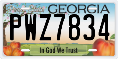 GA license plate PWZ7834