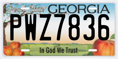 GA license plate PWZ7836
