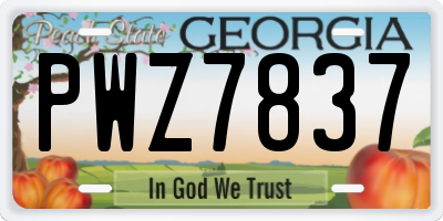 GA license plate PWZ7837