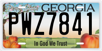 GA license plate PWZ7841